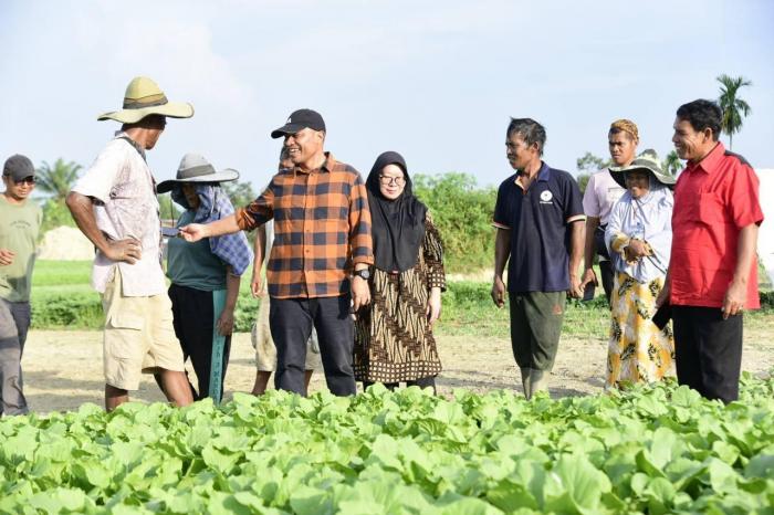 Bagus Santoso Kagum Kunjungi Hamparan Luas Kebun Sayur Warga Duri